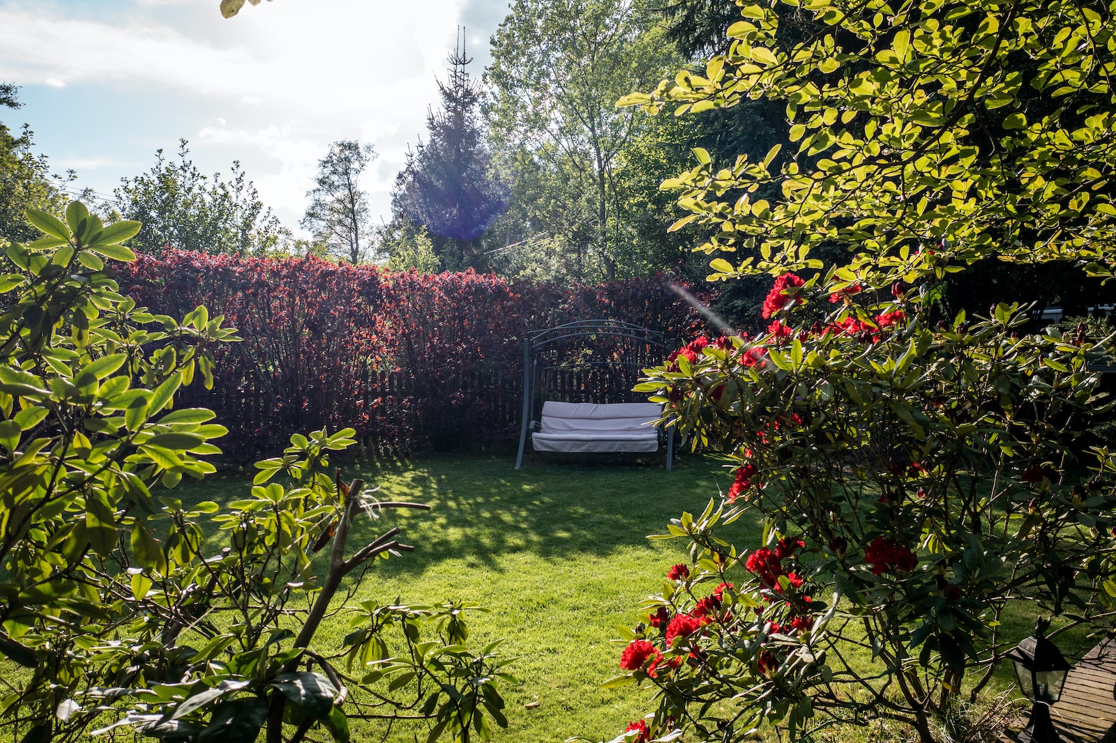 green grass field with red flowers and trees