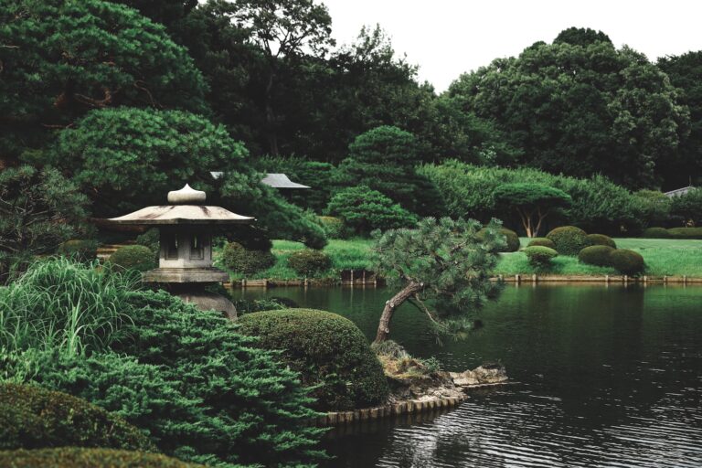 body of water near gazebo