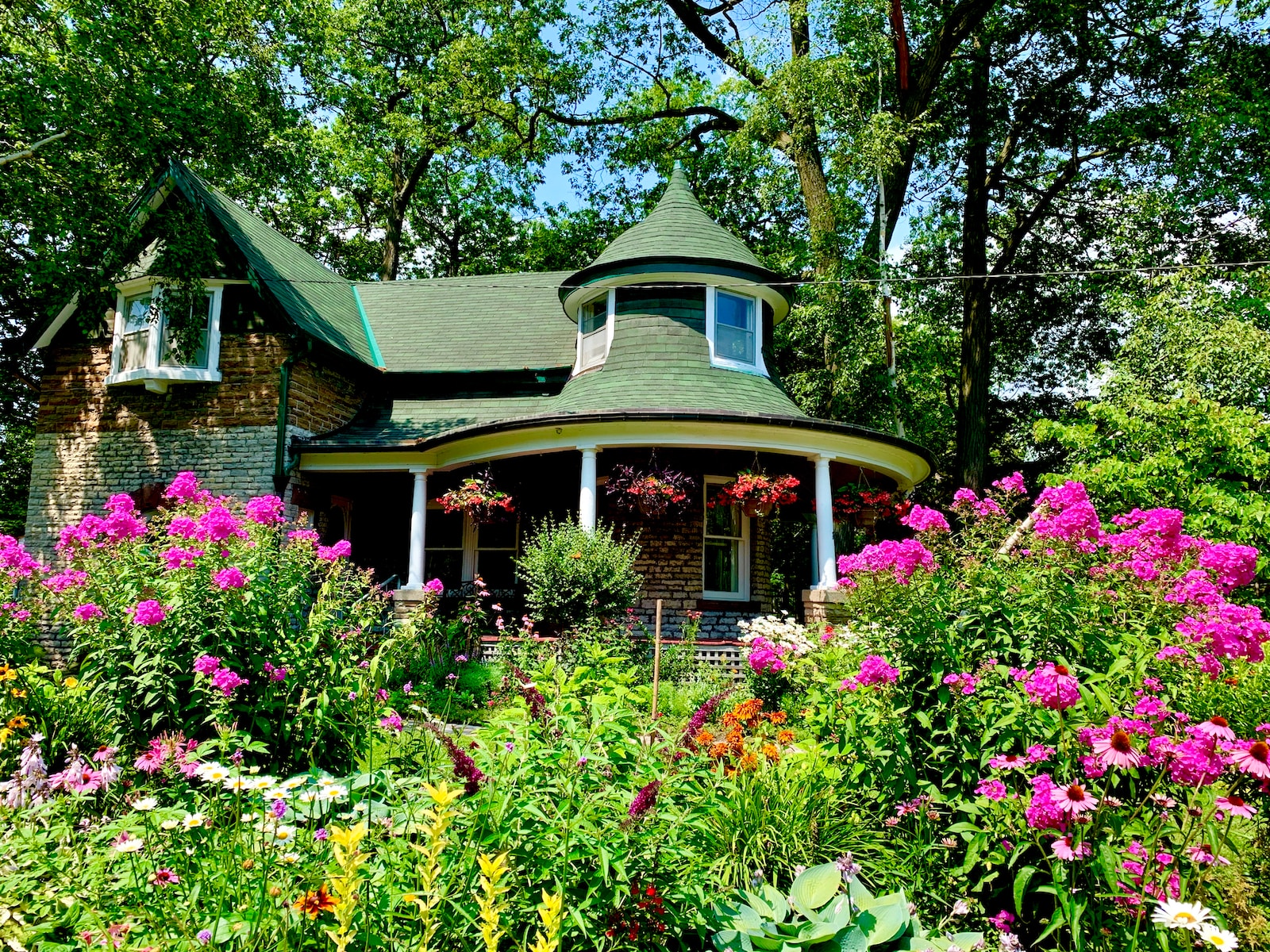 pink and yellow flowers beside green house at daytime
