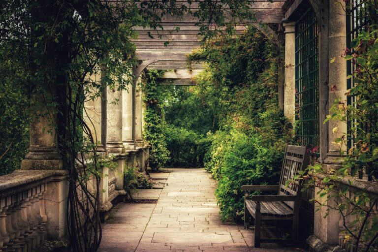 bench beside hedges