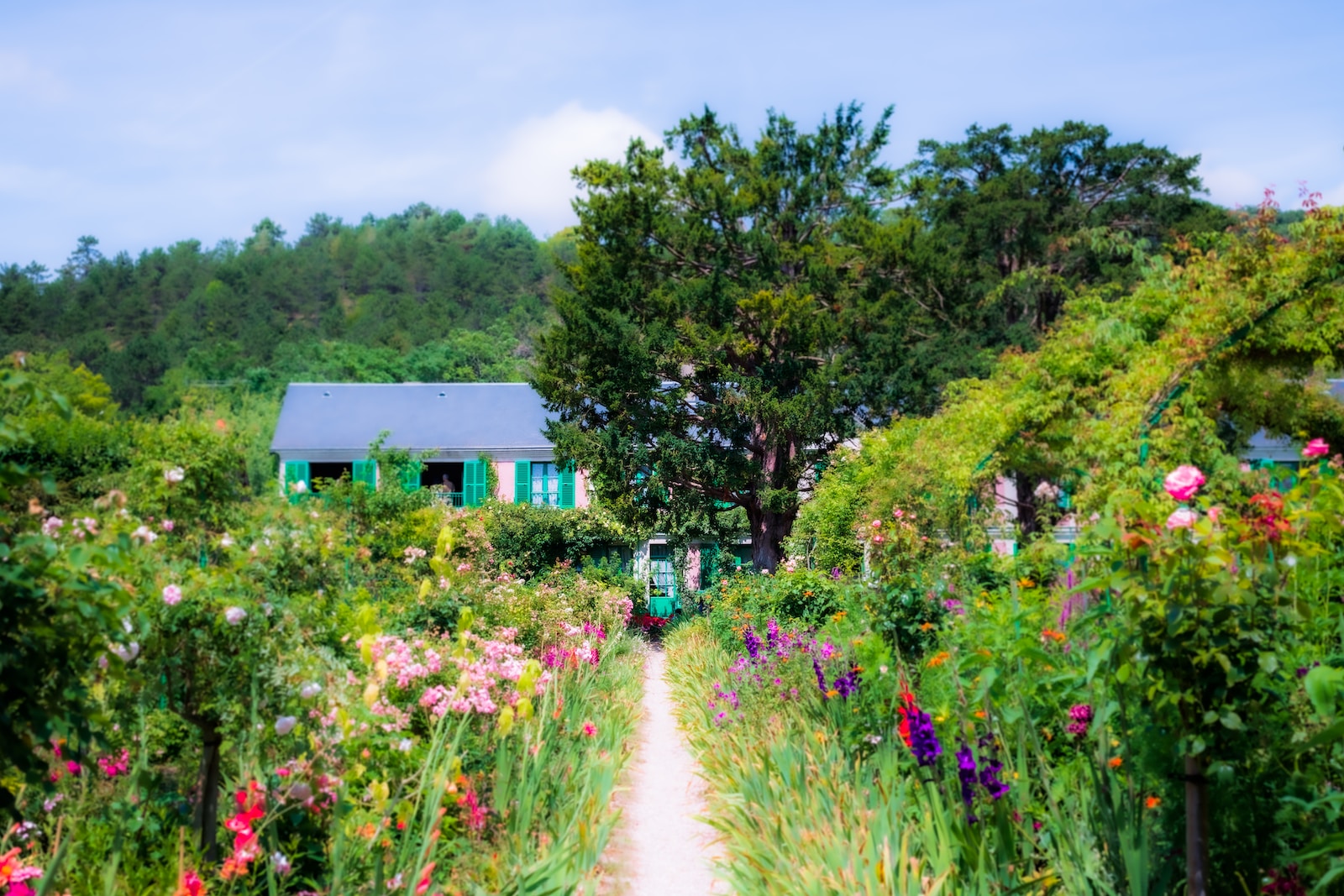 pathway with flowers