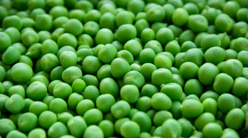 A vibrant close-up image of fresh, organic green peas for healthy eating.